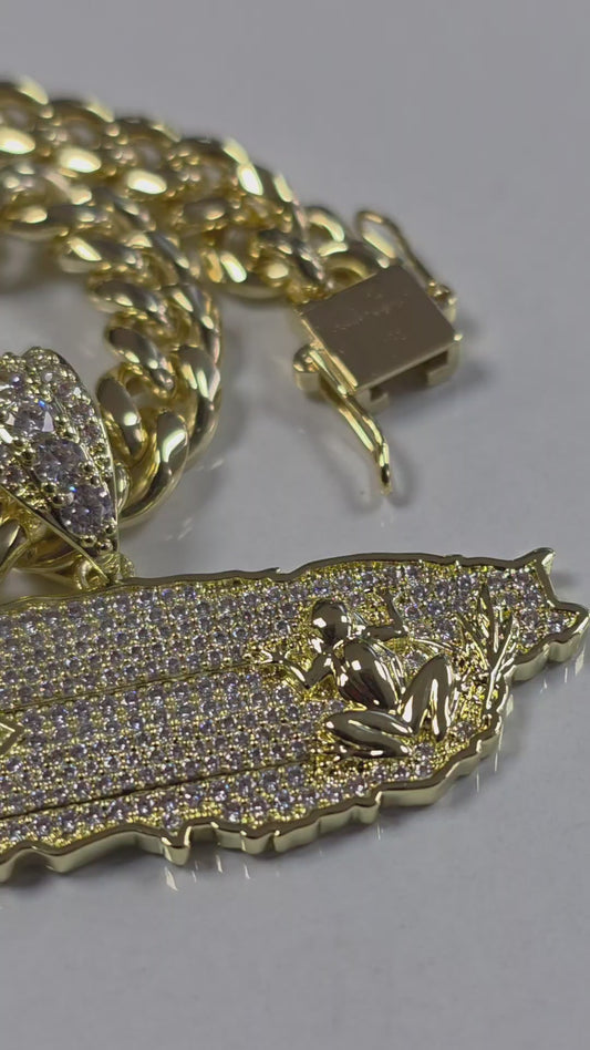 Bello Charm de Puerto Rico con Cadena Stainless Steel PVD.